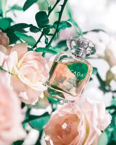 Escada Celebrate Life 13