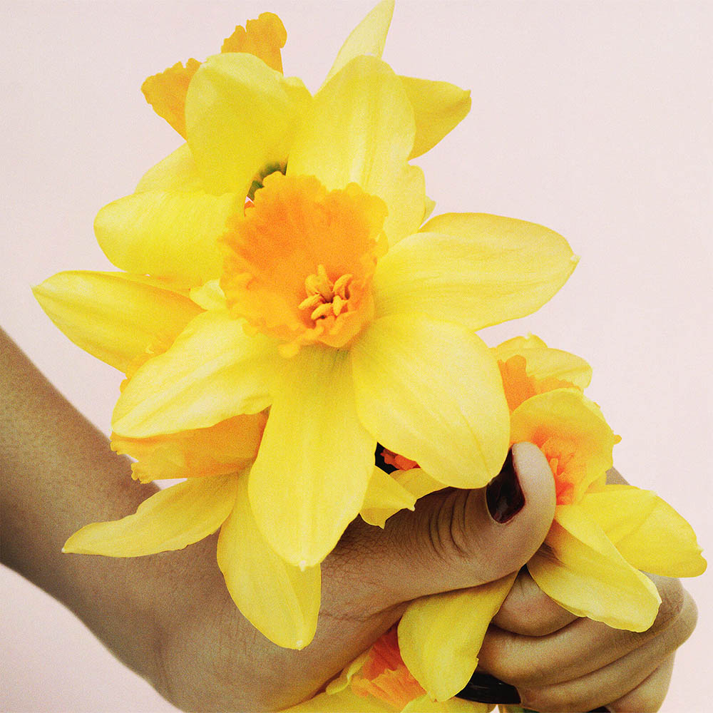 PERFECT MARC JACOBS 81