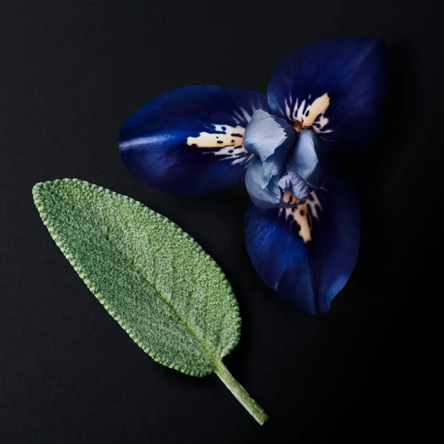 05