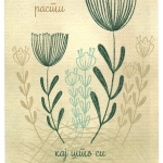 Расти кај што си насадена 81