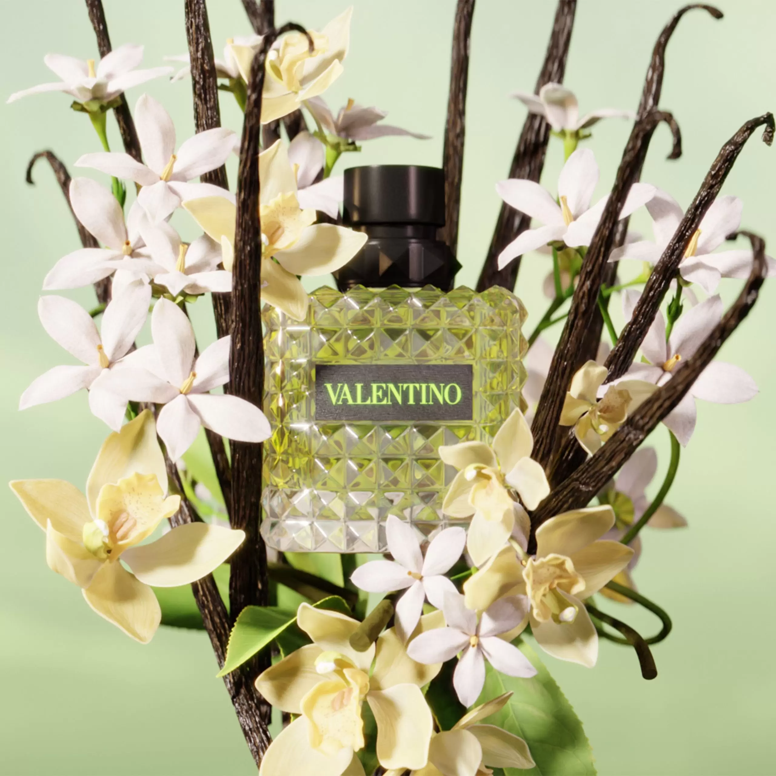BIR Donna 2024 50 ml_4