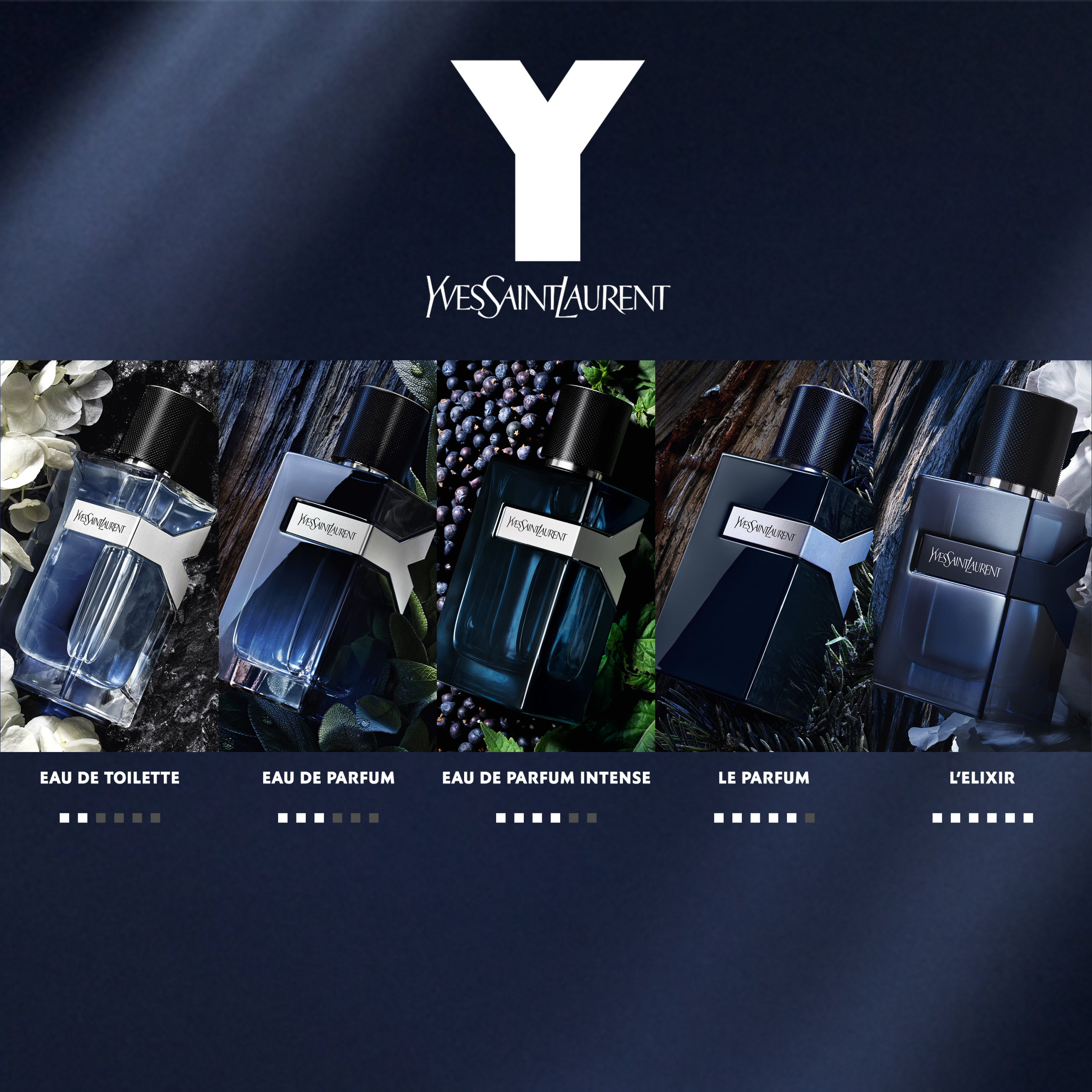 7_YSL Y Le Parfum