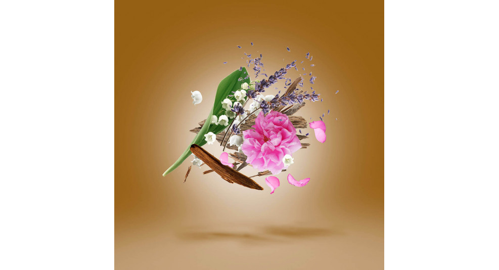 alexandria-iiparfum-100ml