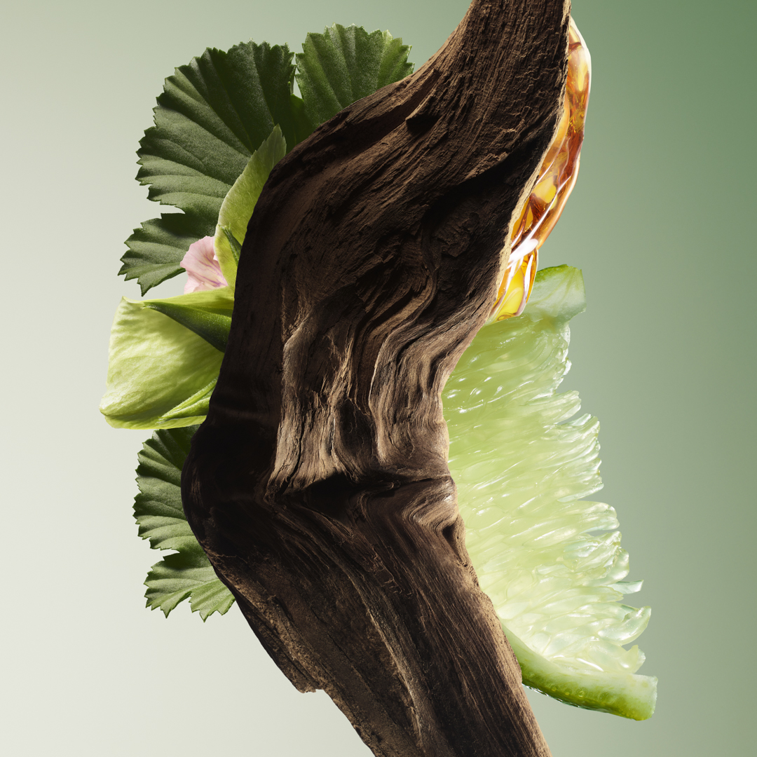 6_PRADA PARADIGME EDP