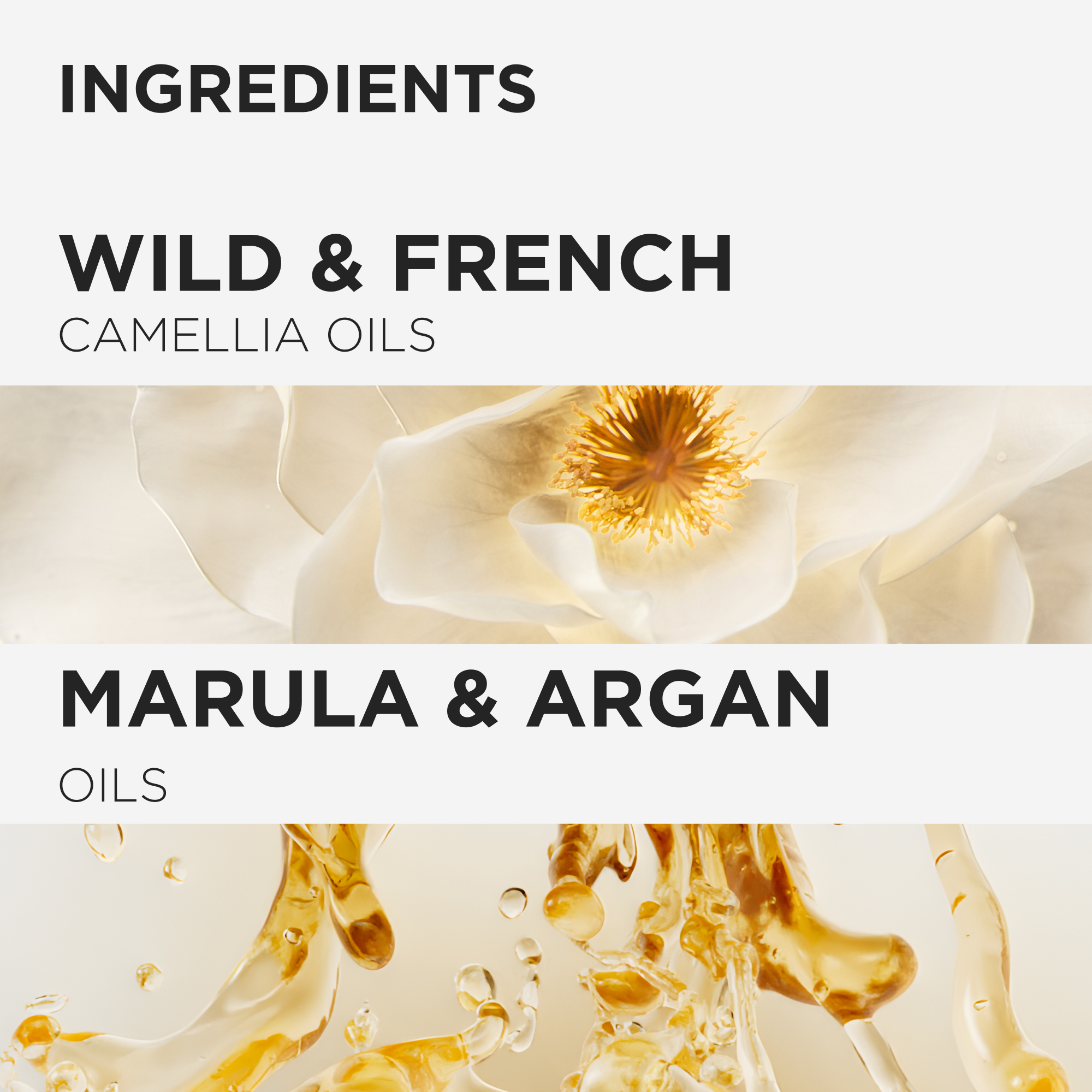 KER_ELIXIR_24_INGREDIENT_DUO_PERFECT_3474637215125_1x1​