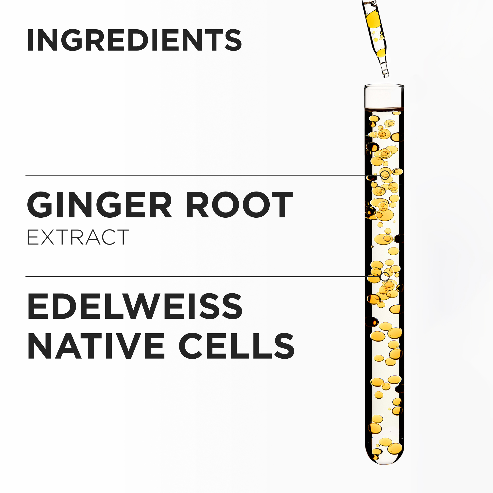 KER_GENESIS_25_INTER_PDP_INGREDIENTS_MASQUE_3474636857937_1x1_VA