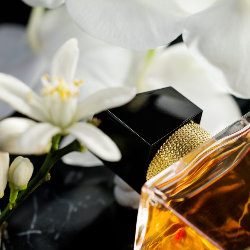 Yves Saint Laurent Libre Eau de parfum Intense 4