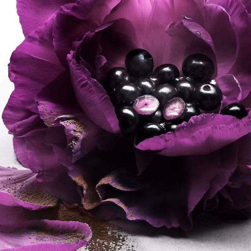 Lancôme La Nuit Trésor Le Parfum 22