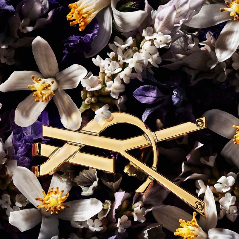 Yves Saint Laurent L'Absolu Platine Parfum 12