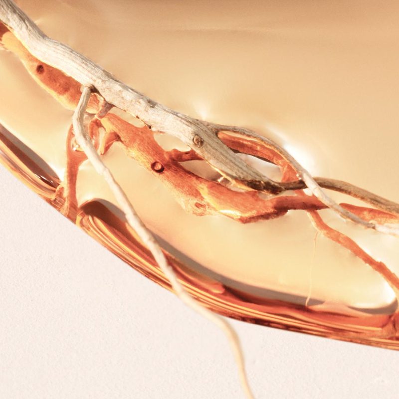 Boss Alive Intense Eau de parfum 12