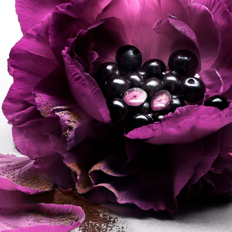 Lancôme La Nuit Trésor Le Parfum 8