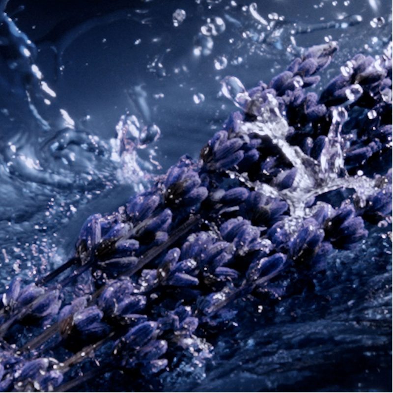 Yves Saint Laurent Y L'Elixir Parfum Concentré 18
