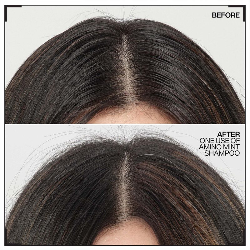 Redken NYC Amino Mint шампон против мастење на коса и скалп 300ml 3 Redken NYC Amino Mint шампон против мастење на коса и скалп 300ml 2