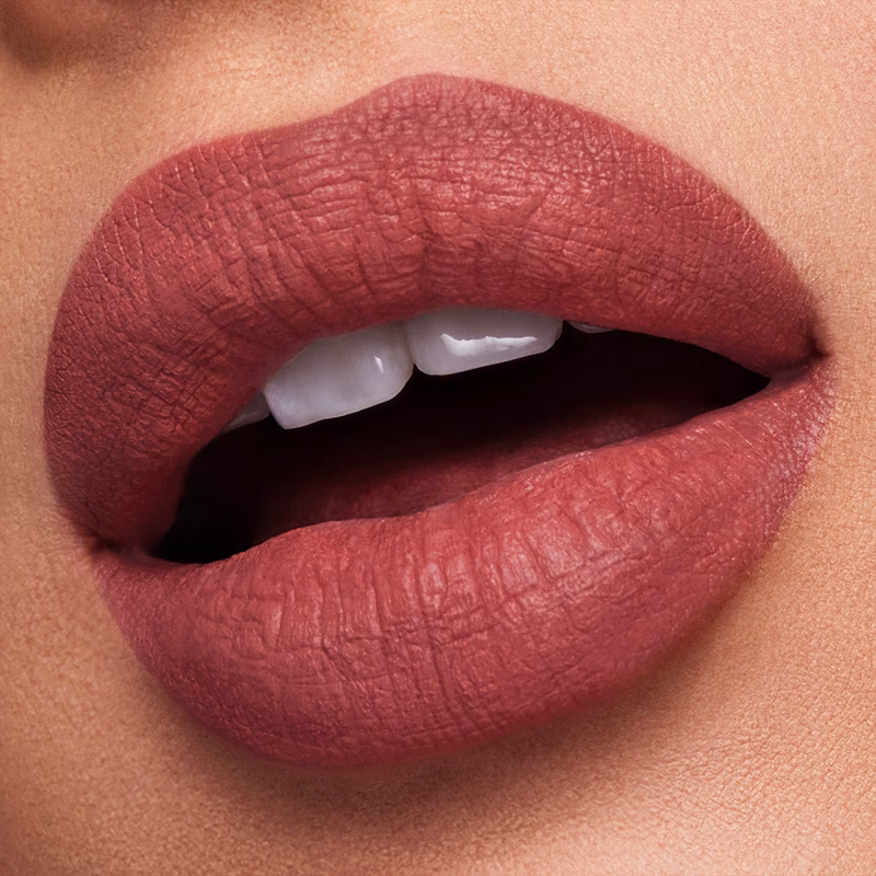 Estee Lauder Pure Color Matte Lipstick негувачки кармин со мат завршеток 22