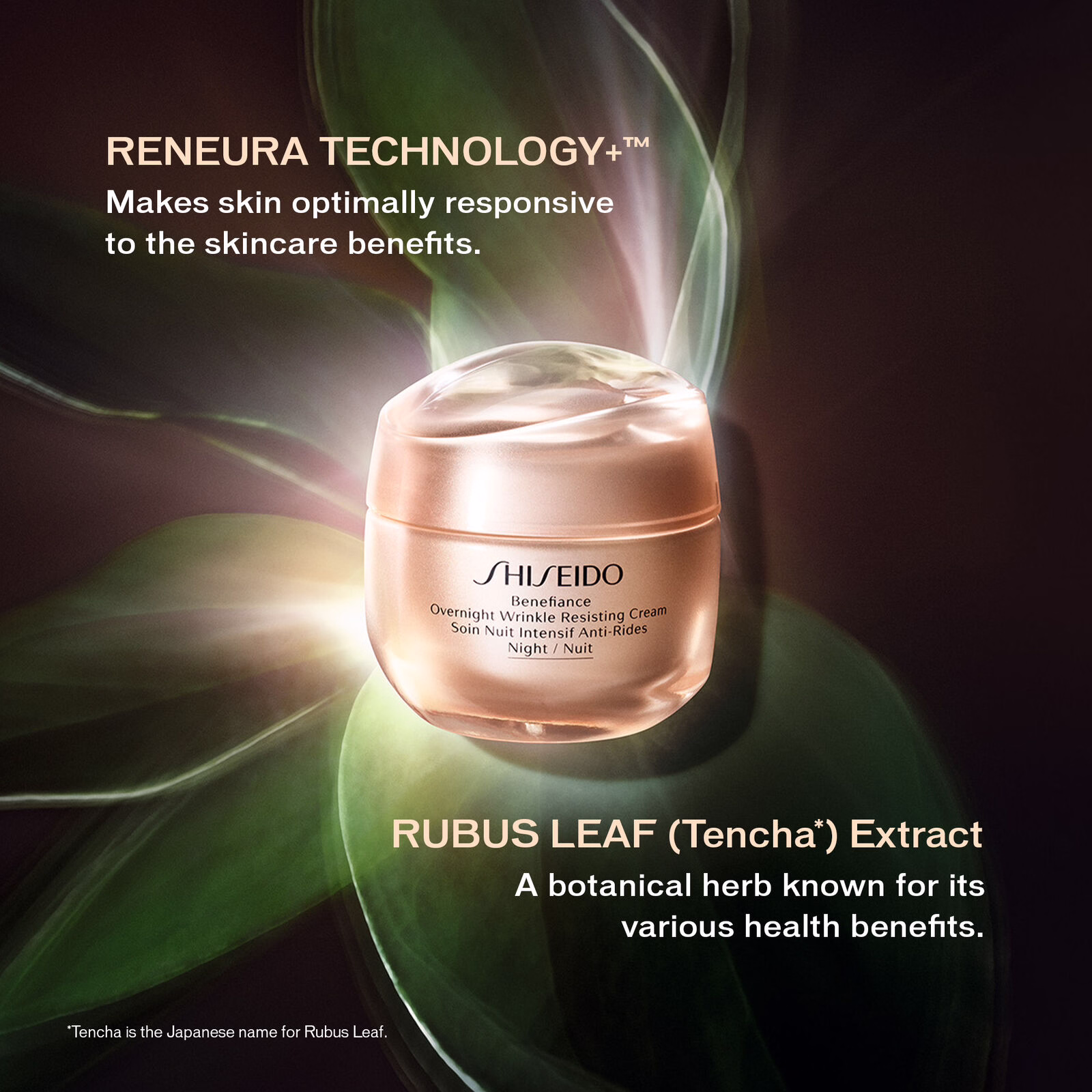 Overnight_Wrinkle_Resisting_Cream_5
