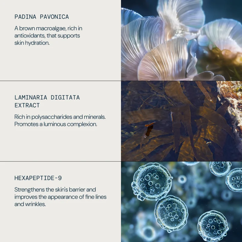 Elemis Pro-Collagen Night Cream хидратантна ноќна крема против стареење 50ml 7 Elemis Pro-Collagen Night Cream хидратантна ноќна крема против стареење 50ml 6